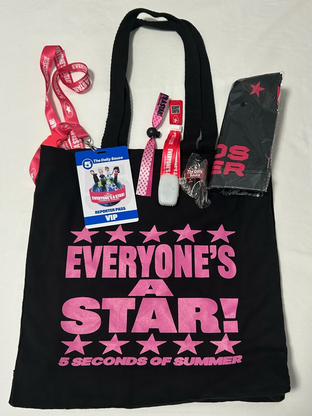 NEW! 5 Seconds Of Summer “Everyone’s A Star World Tour” Exclusive VIP Tote Set